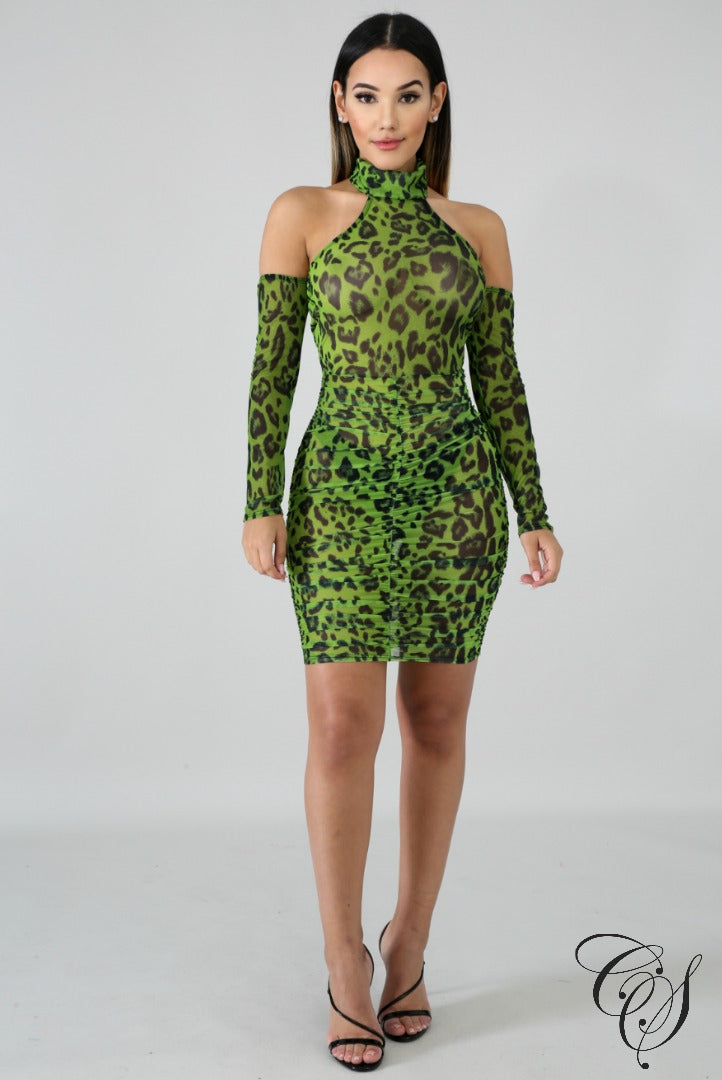 Aria Cheetah Mesh Bodycon Dress – Designs By Cece Symoné